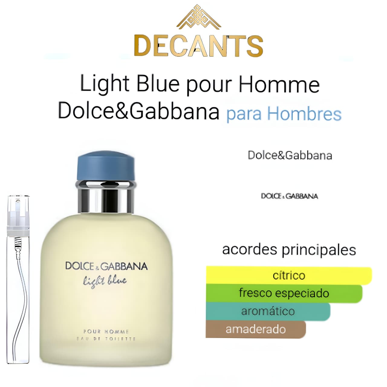 LIGHT BLUE HOMME DOLCE Y GABANNA