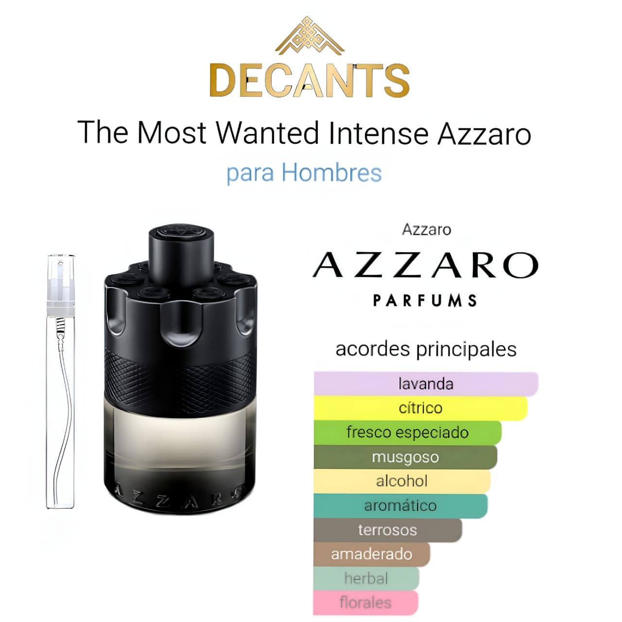 THE MOST WANTED INTENSE